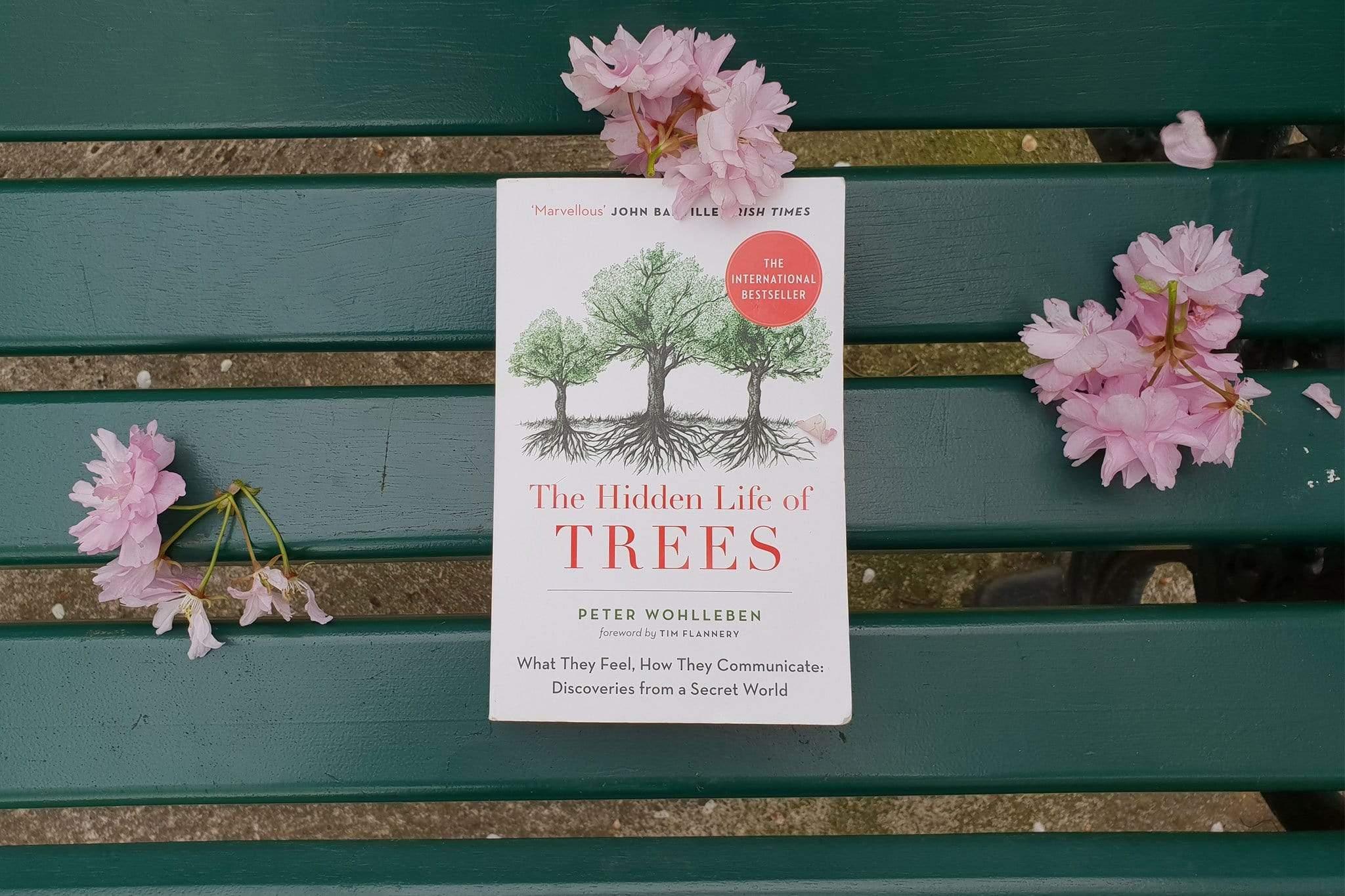 The Hidden Life of Trees by Peter Wohlleben - Percolator Press – Gym