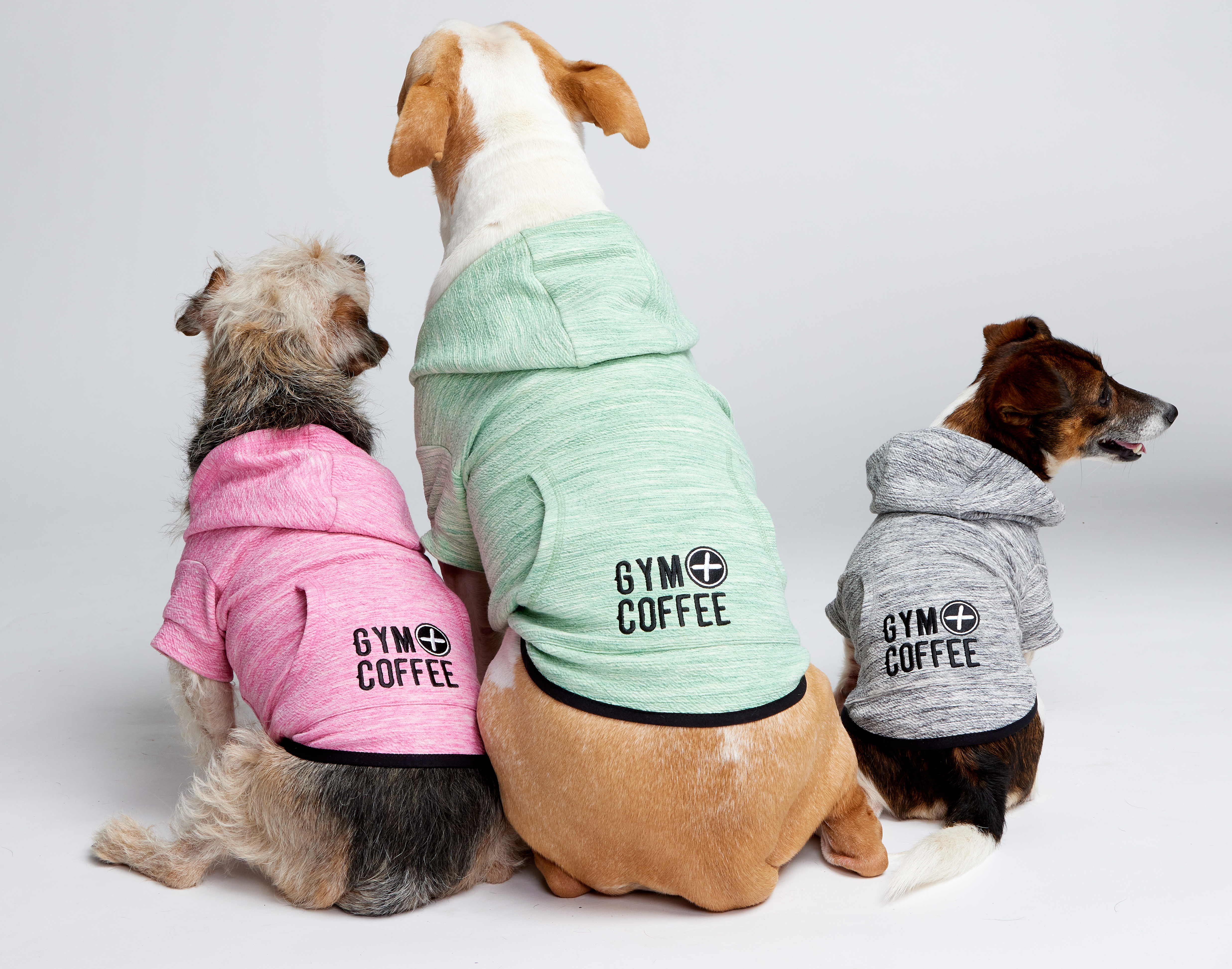 Dog Hoodies